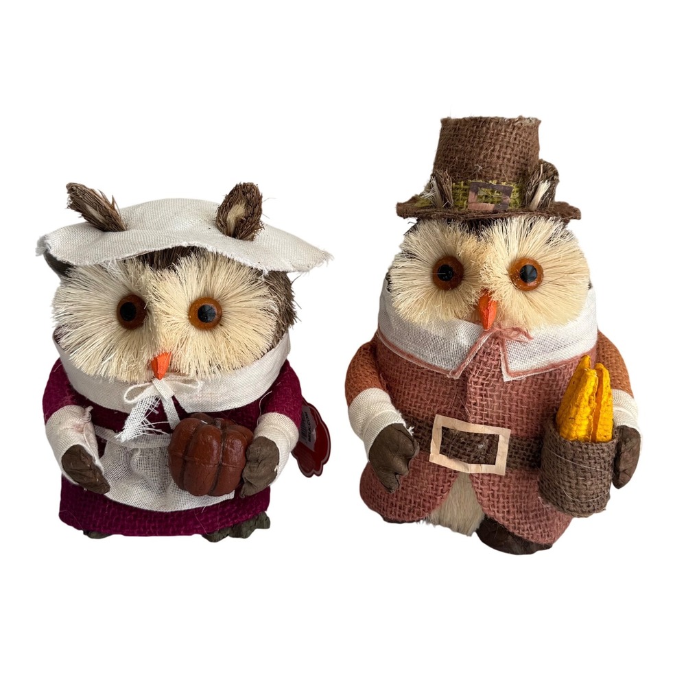 Home Accents Pilgrim Owl Figurines Set OS Multi New Sisal Burlap Thanksgiving
